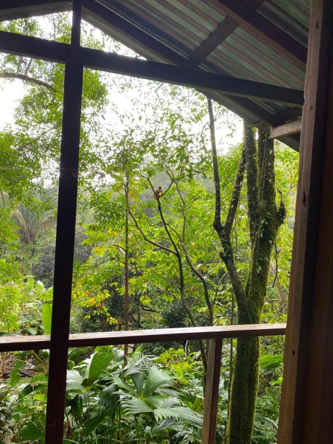 Lodge La Bonita, Playa Carate